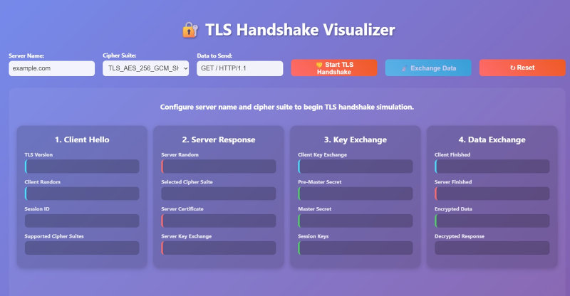 A visual representation of the TLS Protocol