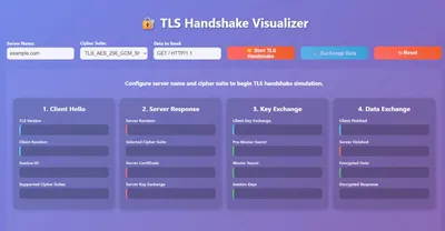 A visual representation of the TLS Protocol